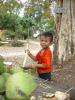 13. Coco - Laos 2008