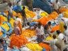 15. Flower market - Inde 2014