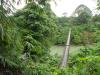 26. Jungle bridge - Sumatra 2013