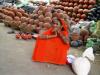 7. Pots - Inde 2010