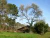 Granja